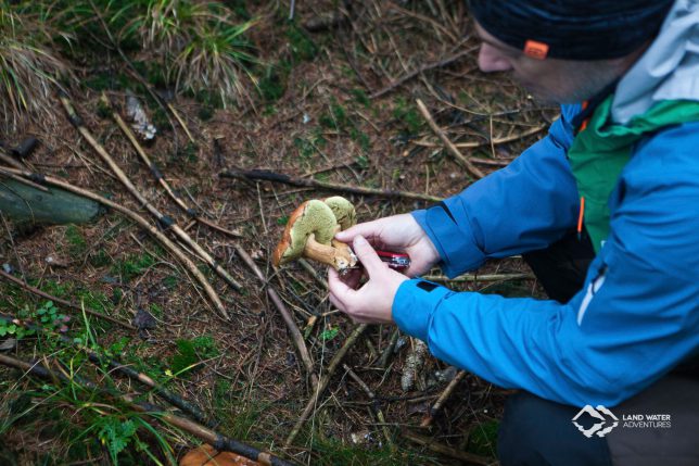 Pilzernte im Thüringer Wald © Land Water Adventures